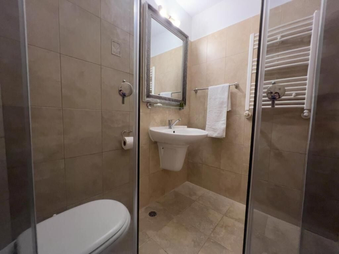 Bathroom 4, Pensiunea Poiana Izvoarelor, Dorna Candrenilor