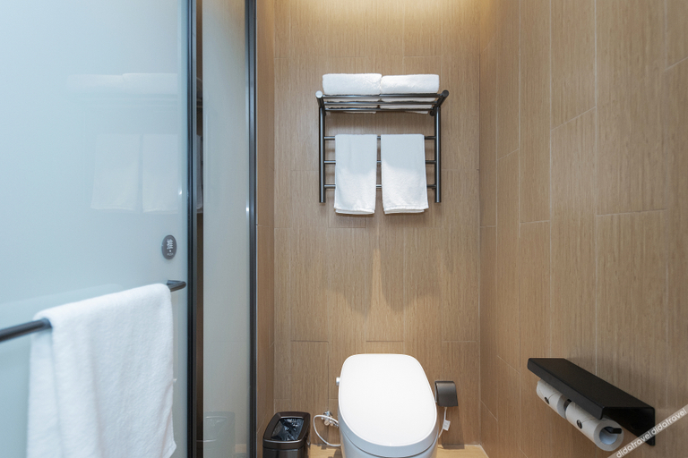 Bathroom 3, Ji Hotel Hangzhou Lin'An People'S Square, Hangzhou
