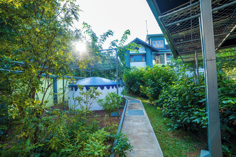 Others 5, Hibiscus Earth - CGH Earth, Alappuzha
