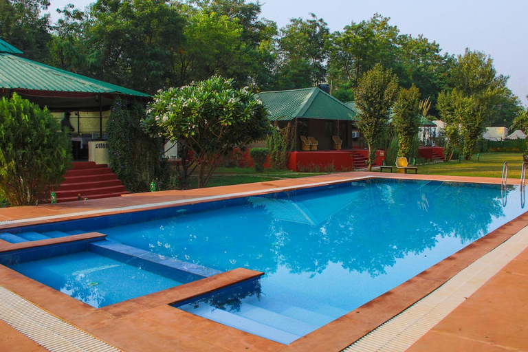 Sport & Beauty 5, Jungle View Resort Ranthambhore, Sawai Madhopur