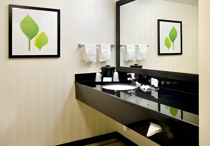 Bathroom, Fairfield by Marriott Inn & Suites Charlotte Matthews, Mecklenburg
