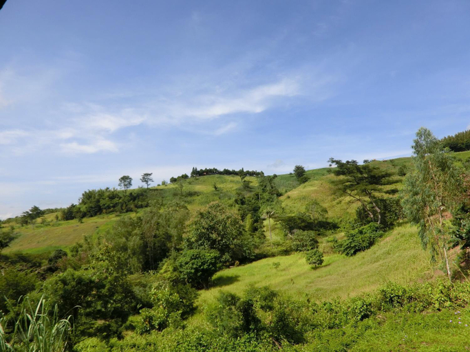 Scenery 9