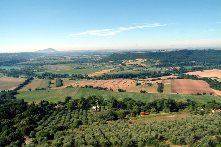Others 4, B&B IL CASTELLO, Terni