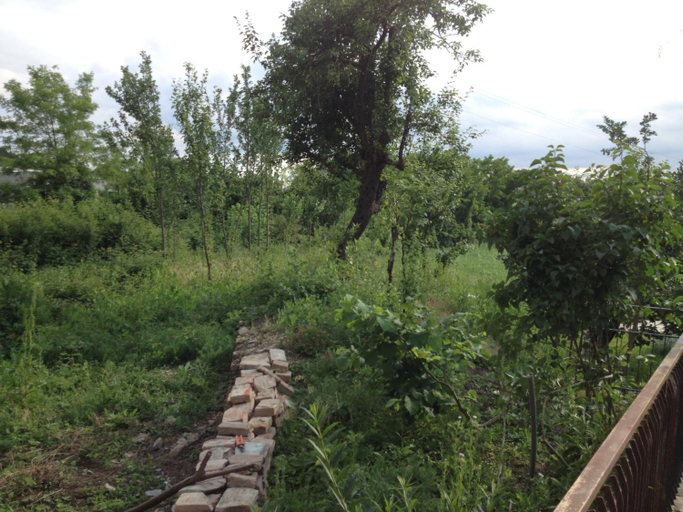 Scenery 1