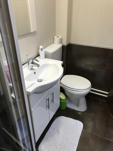Bathroom 3, Harsanyi vendeghaz, Miskolci