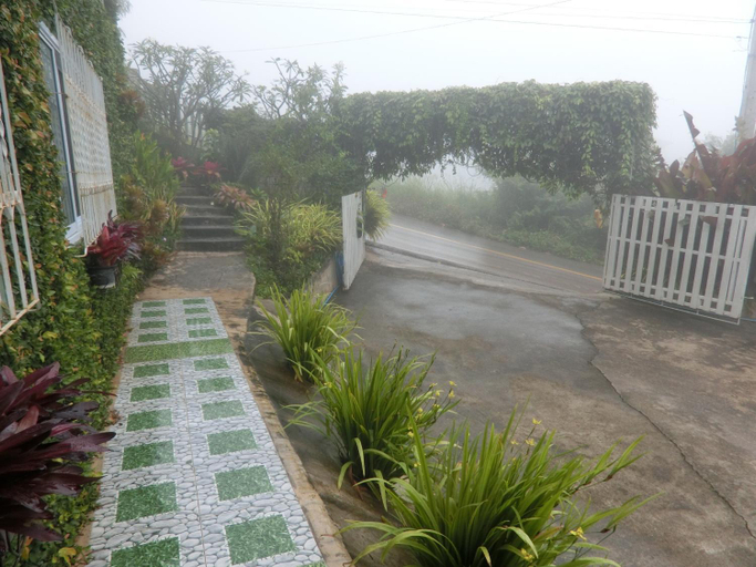 Scenery 11
