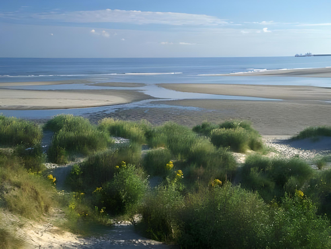 Others 4, Evancy Villa les Margats, Nord