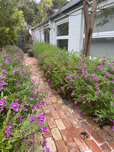 Rye Hide Out - Rye beach retreat, Mornington P'sula - South