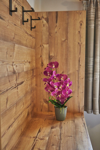 Others 5, Delfi Ski & Bike Apartments, Zell am See