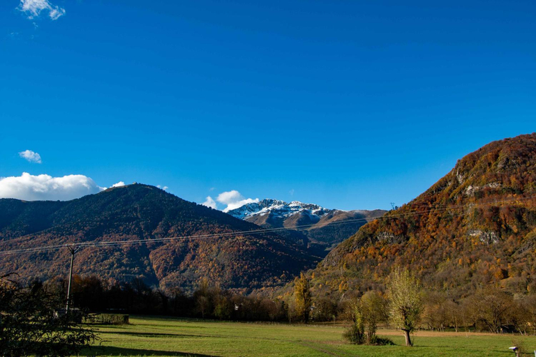 Others 4, Villa Art Natura, Haute-Garonne