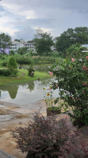 Scenery 3