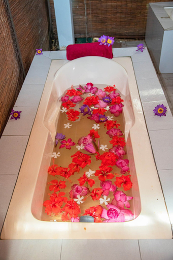 Bathroom, ocean of life ayurveda Hotel, Bentota