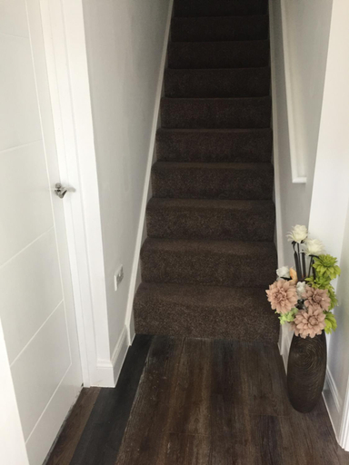 Others 5, Alphalink Lodge, Middlesbrough
