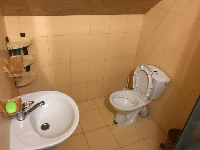 Bathroom 2, Shelest Vody, Tiachivs'kyi