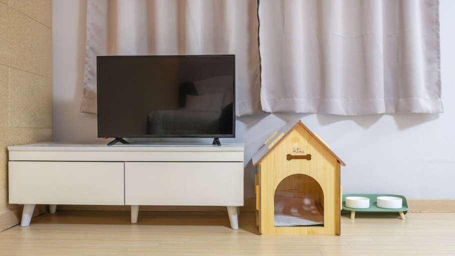 Others 5, Pocheo Welcome Paw and Meow Pet Pension, Pocheon