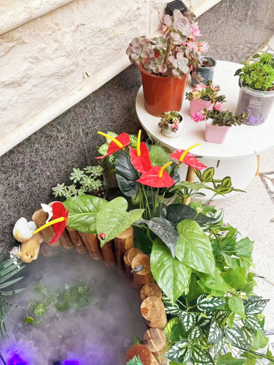 Food & Drinks 4, Hasy's House-YaXinJu, Riyadh