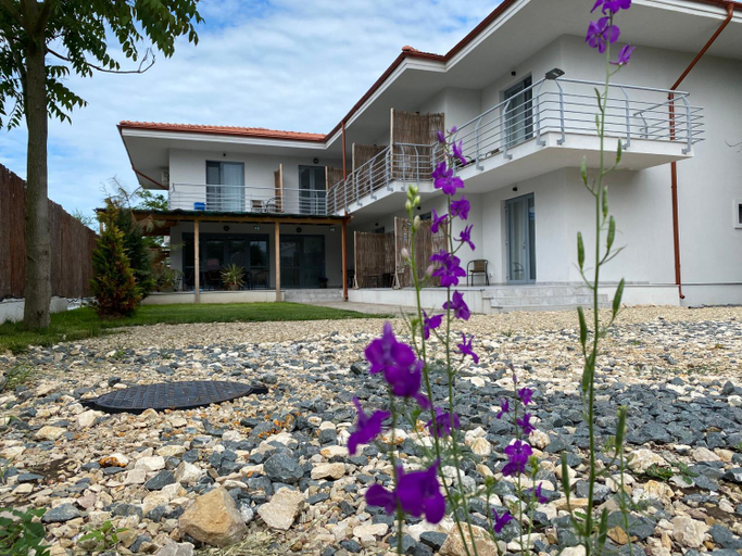 Others 5, VAMA BLUE, Limanu