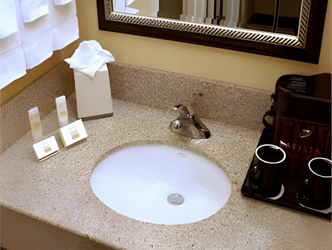 Bathroom 3, Courtyard by Marriott Atlanta Perimeter Center, Fulton