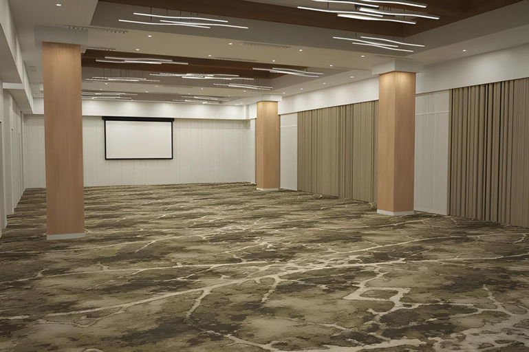Others 5, SpringHill Suites by Marriott Greenville Downtown, Greenville