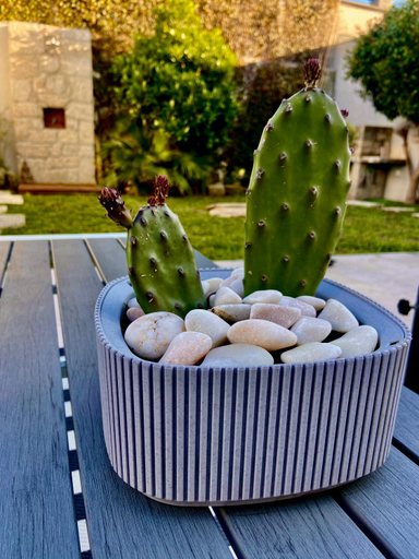 Food & Drinks, ON THE WAY - Mindelo Beach/Guest House, Vila do Conde