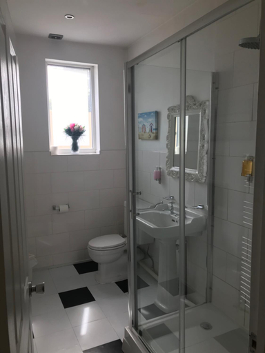 Bathroom 3, Mad O'Rourkes Pie Factory, Sandwell