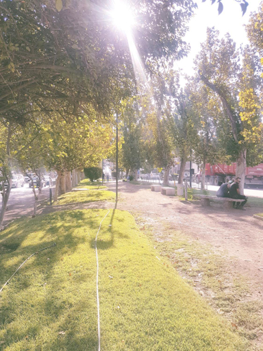 Others 3, Apartamento Los Andes II, Los Andes