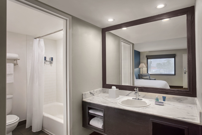 Bathroom, Four Points by Sheraton Anaheim, Orange