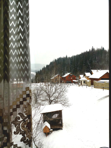 Others 5, Manor "U Bervinovy", Nadvirnians'kyi