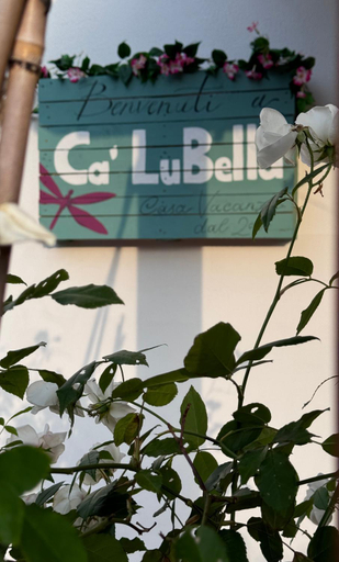 Exterior view 5, Ca LuBella, Massa Carrara