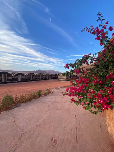 Others 3, Wadi Rum Golden Camp & Tours, Quaira
