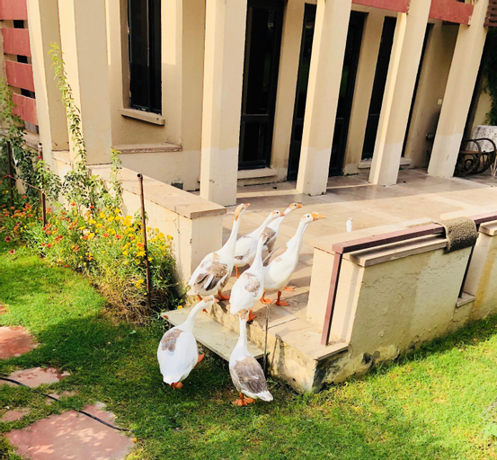 Beautiful Apartments at Tarudhan Valley Golf Resort, Manesar, Mewat