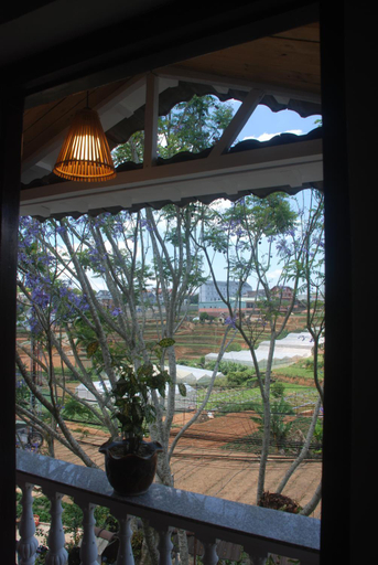 Others 5, M&G Homestay, Đà Lạt
