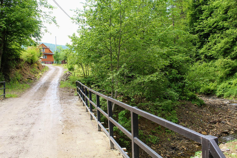 Others 3, Manor "U Bervinovy", Nadvirnians'kyi