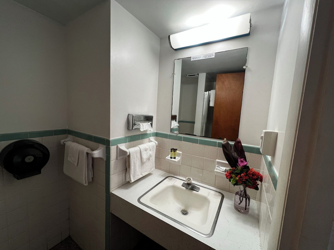 Bathroom 3, Nocturne Motel, Volusia