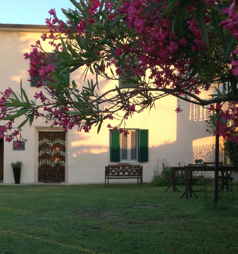 Monica appartamenti, Livorno