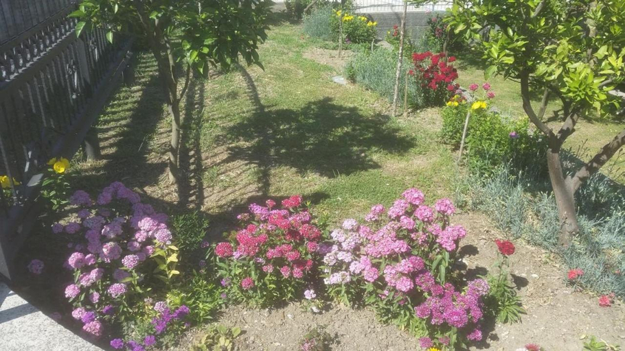Others 5, Guesthouse Kodre