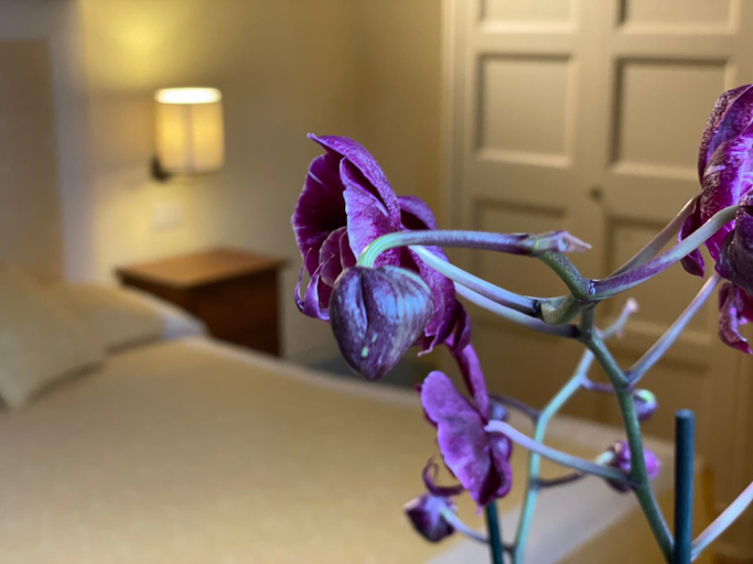 Others 2, Altesino Suites, Siena
