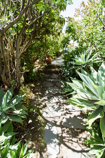 Surrounding environment 2, Finca Rural El Silbo - Casas Rurales, Santa Cruz de Tenerife