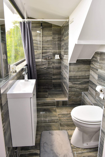 Others 4, UpForest Guesthouse, Calimanesti