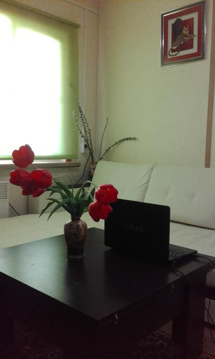 Others 4, Baza otdyha Peschanyj Bereg, Eyskiy rayon