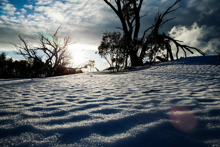 Others 4, Snowy Cottage for Nature Lovers, Tumut