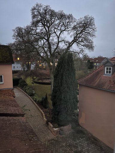 Exterior & Views 2, Alte Schlosskurve Hotel & Restaurant, Waldeck-Frankenberg