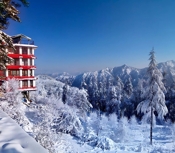 Exterior & Views 1, Hotel Savi Shallidrishya, Shimla
