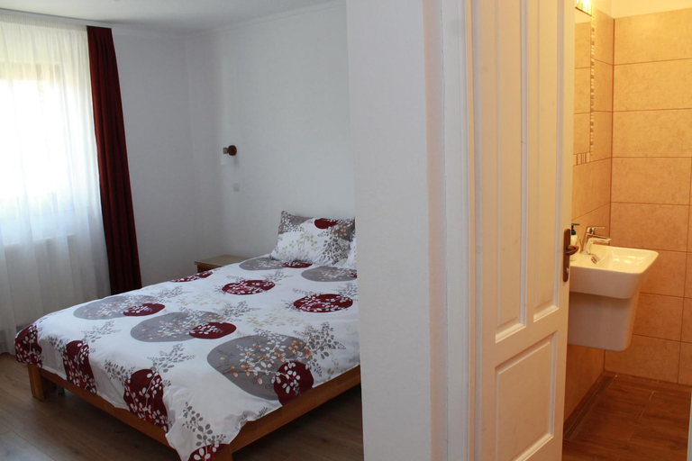 Others 5, Casa Moldovan, Sovata
