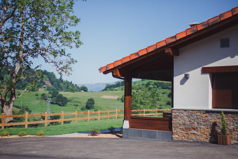 1, Fuente El Gueyu, Asturias