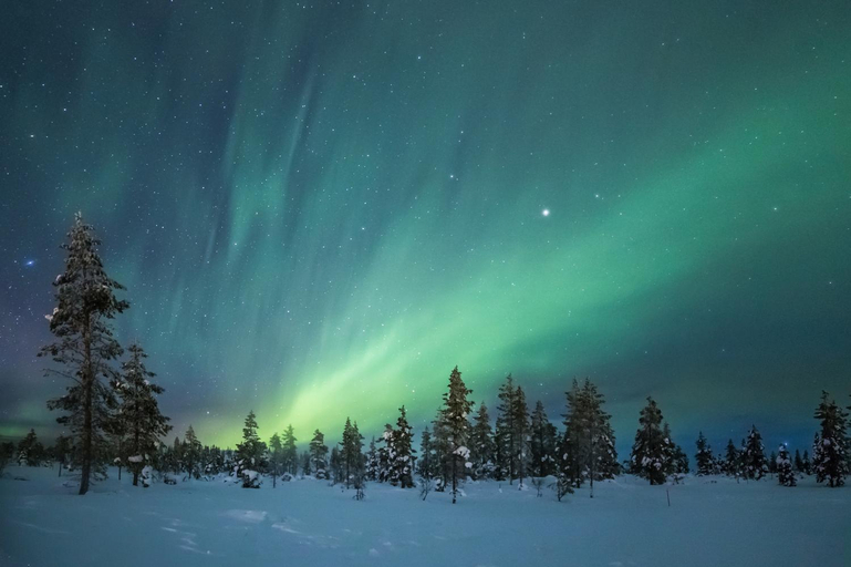 Surrounding environment 3, Arctic Sky Lapland, Lapland