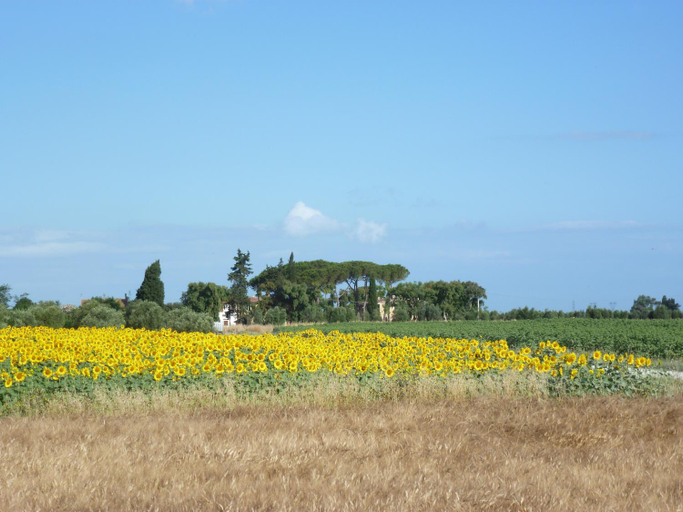 Others 5, Casa Vacanze Vignarca - Localita Perelli, Livorno