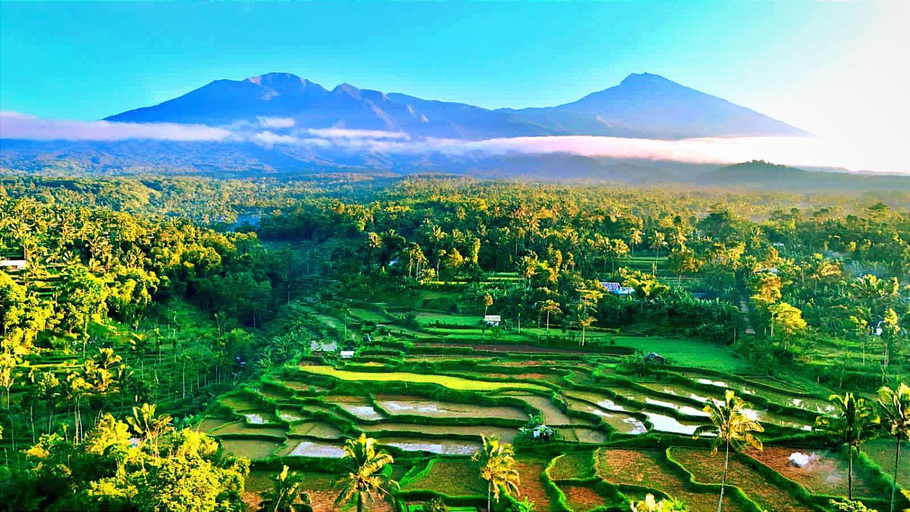 Scenery 17