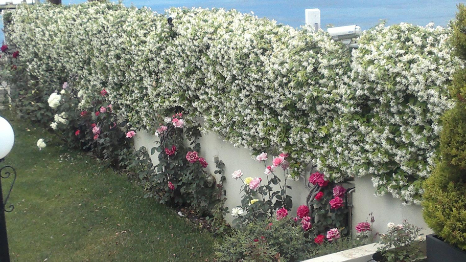 Others 5, Villa Markos, West Greece