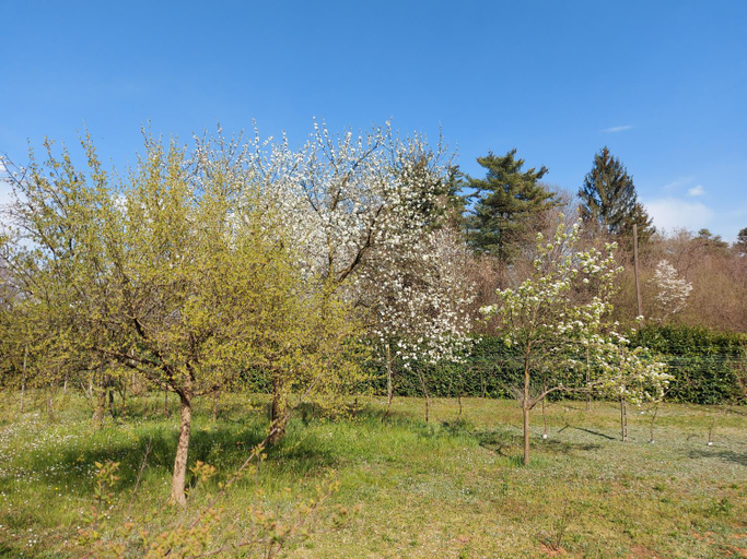 Others 2, Milano Country Club - Villa with private pool and garden, Varese